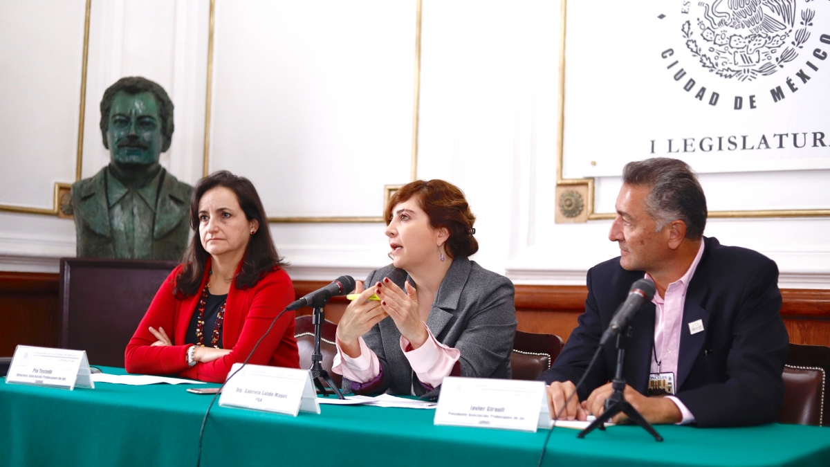 Predomina impunidad inmobiliaria en CDMX: Dip. Gabriela Salido Predomina impunidad inmobiliaria en CDMX: Dip. Gabriela Salido