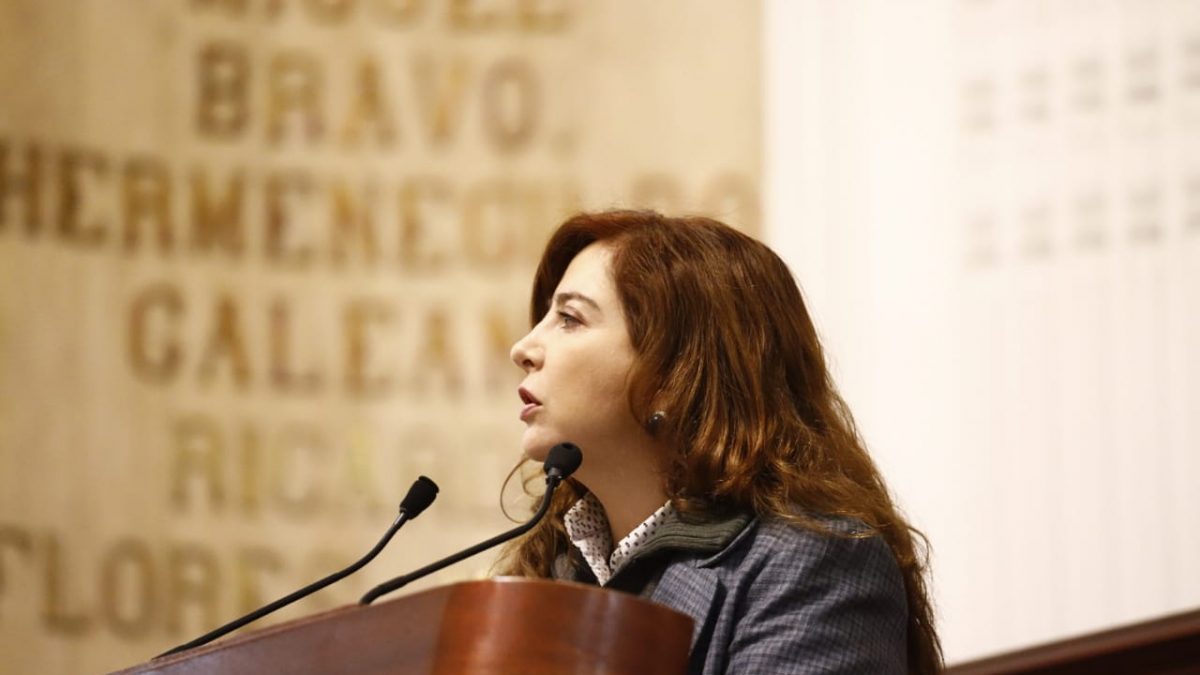 Propone la diputada panista, Gabriela Salido desaparecer el INVEA Propone la diputada panista, Gabriela Salido desaparecer el INVEA