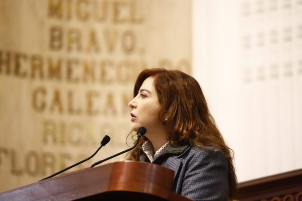 Propone la diputada panista, Gabriela Salido desaparecer el INVEA