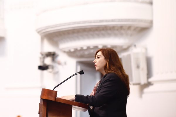 Urgen a autoridades determinar y delimitar el territorio que ocupa el parque reforma social: dip. Gabriela Salido