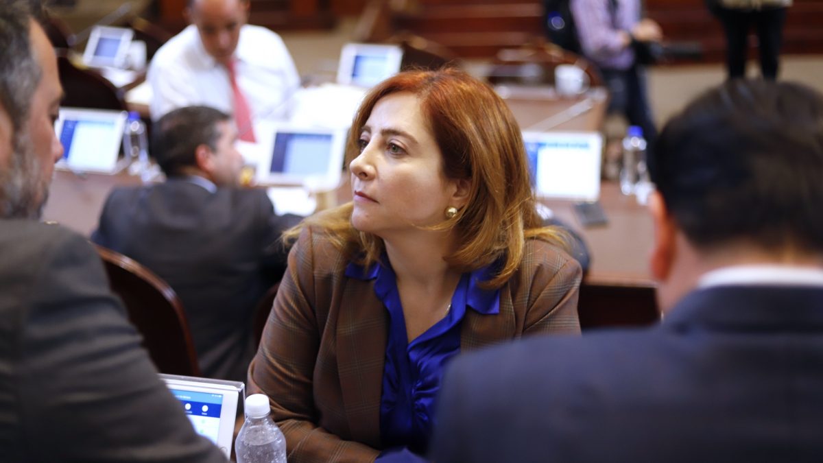 Propone Diputada Gabriela Salido trámite en 72 horas a iniciativas ciudadanas en el Congreso de la CDMX Propone Diputada Gabriela Salido trámite en 72 horas a iniciativas ciudadanas en el Congreso de la CDMX