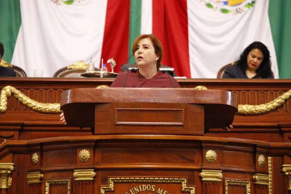 Uso de transporte individual sin anclaje debe respetar derechos de terceros: Diputada Gabriela Salido
