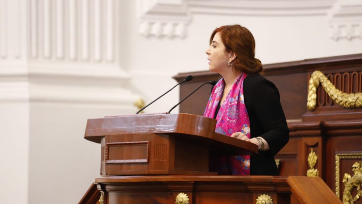 Diputada Salido advierte señalamientos críticos si se violan los derechos ambientales en la CDMX Diputada Salido advierte señalamientos críticos si se violan los derechos ambientales en la CDMX