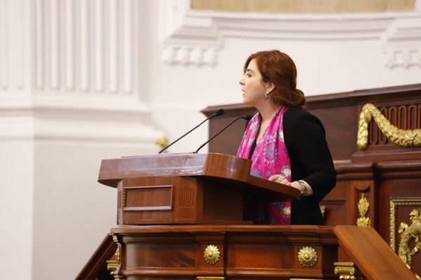 Diputada Salido advierte señalamientos críticos si se violan los derechos ambientales en la CDMX