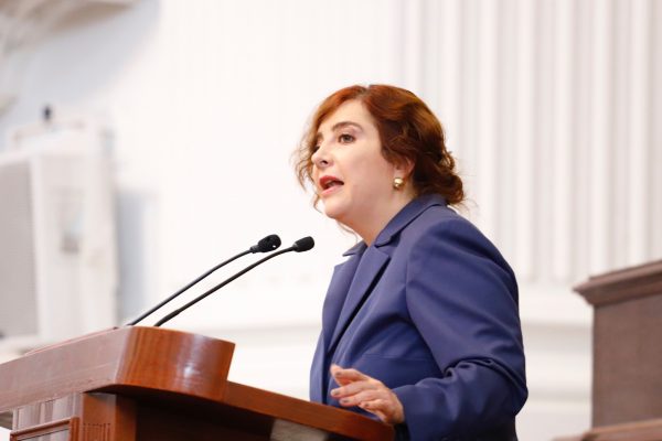 Certificado de Zonificación de uso de suelo en Paseo de las Palmas 1055 debe revisarse y, en su caso, proceder a su anulación: Dip. Salido Magos