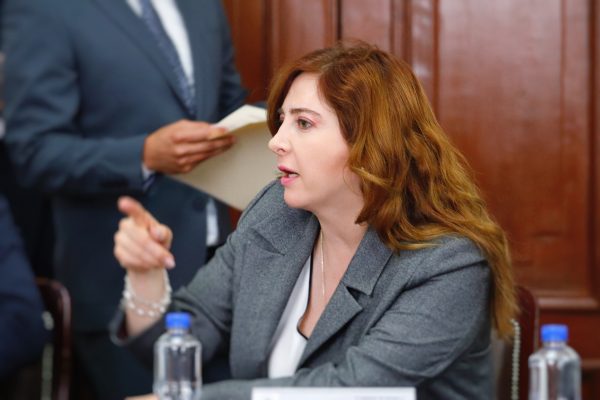 Autoridades deben garantizar la construcción del parque en la Colonia Granada: Dip. Gabriela Salido