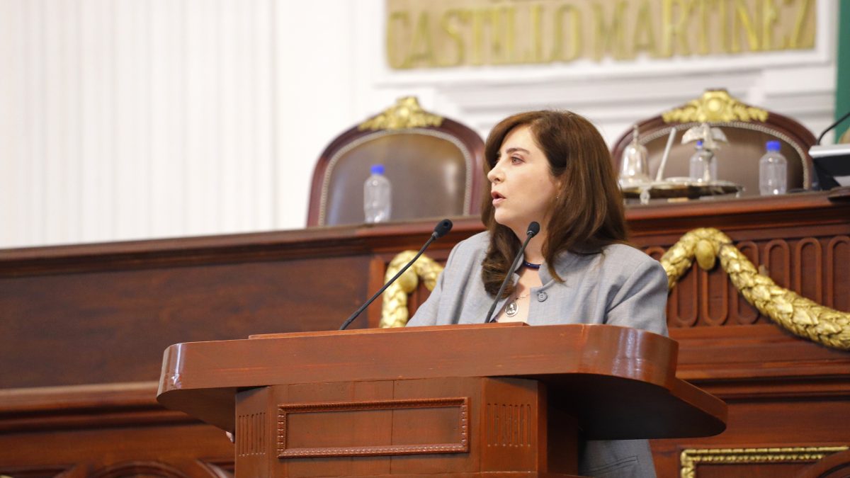 Urgente combatir aumento en índice delictivos en colonias de Miguel Hidalgo: Dip. Gabriela Salido Urgente combatir aumento en índice delictivos en colonias de Miguel Hidalgo: Dip. Gabriela Salido