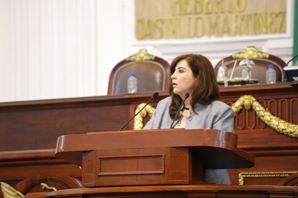 Urgente combatir aumento en índice delictivos en colonias de Miguel Hidalgo: Dip. Gabriela Salido