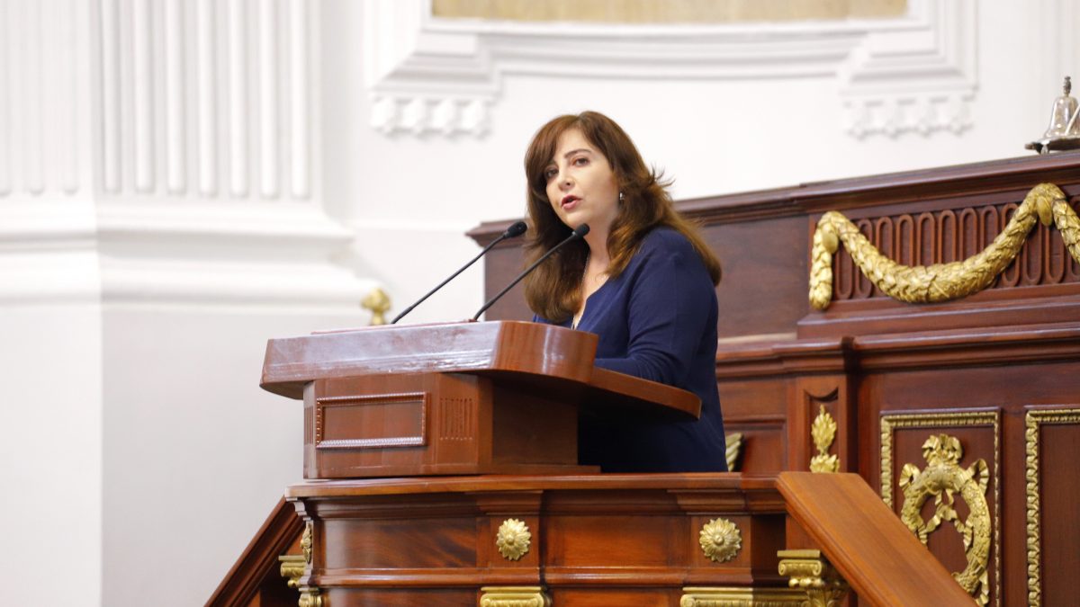 Los CETRAM, instalaciones donde debe prevalecer la seguridad por encima de otros intereses: Dip. Gabriela Salido Los CETRAM, instalaciones donde debe prevalecer la seguridad por encima de otros intereses: Dip. Gabriela Salido