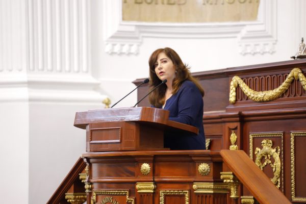 Los CETRAM, instalaciones donde debe prevalecer la seguridad por encima de otros intereses: Dip. Gabriela Salido
