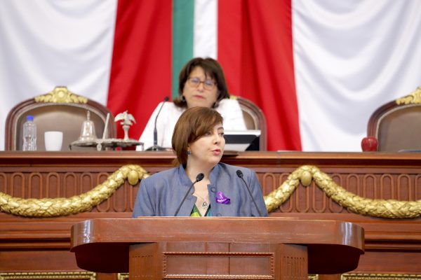 Urge Dip. Gabriela Salido a atender tiraderos clandestinos