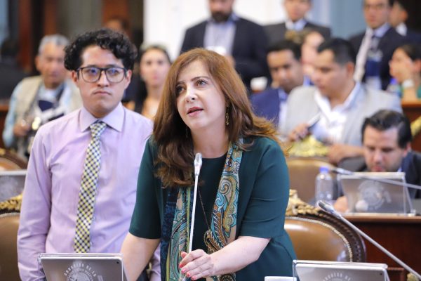 Dip. Gabriela Salido solicita a la SSC informe sobre Programa de Chatarrización 2019
