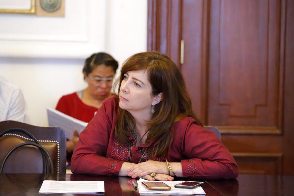 Aprueban exhorto de Dip. Gabriela Salido para que SCT e IFT informen sobre permisos para instalar antenas repetidoras