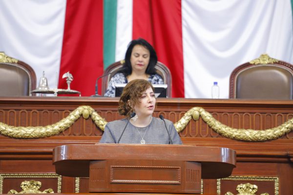 Presenta Dip. Gabriela Salido punto de acuerdo y exhorto al gobierno de la CDMX en materia ambiental