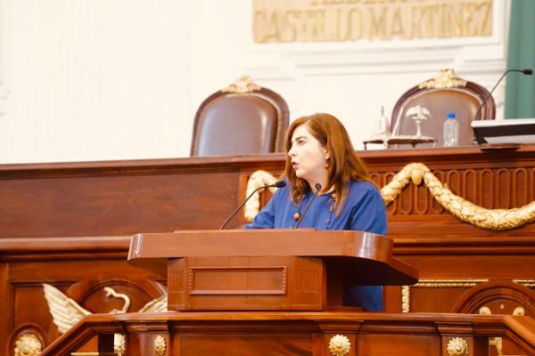 Diputada Gabriela Salido