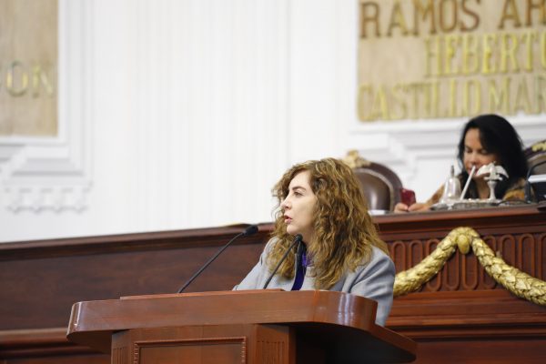 Diputada Gabriela Salido