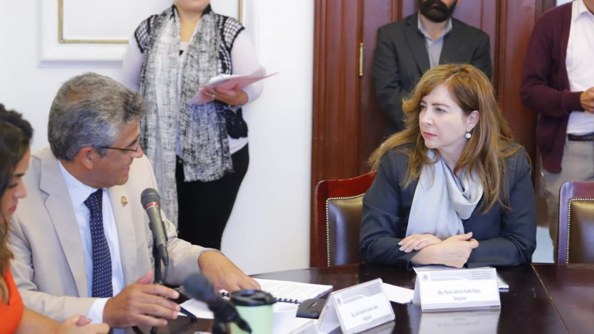 Exhortan a Secretarías del Gobierno Local a implementar acciones para prevenir riesgos sanitarios en depósitos vehiculares Diputada Gabriela Salido