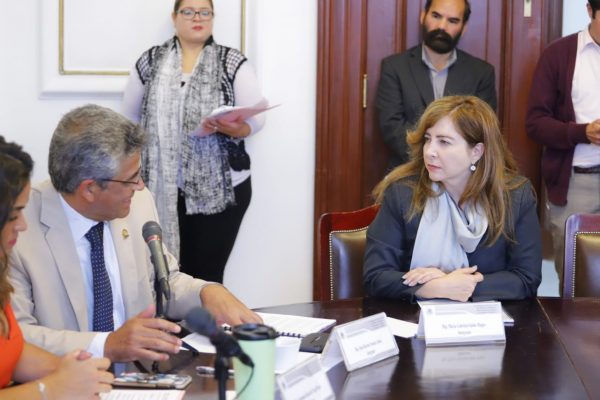 Diputada Gabriela Salido