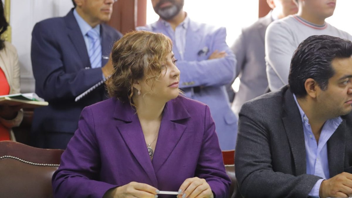 Denuncia Dip. Gabriela Salido que MORENA antepuso su visión y sus ideas sobre el diálogo en la propuesta de dictamen de Ley de Participación Ciudadana Denuncia Dip. Gabriela Salido que MORENA antepuso su visión y sus ideas sobre el diálogo en la propuesta de dictamen de Ley de Participación Ciudadana