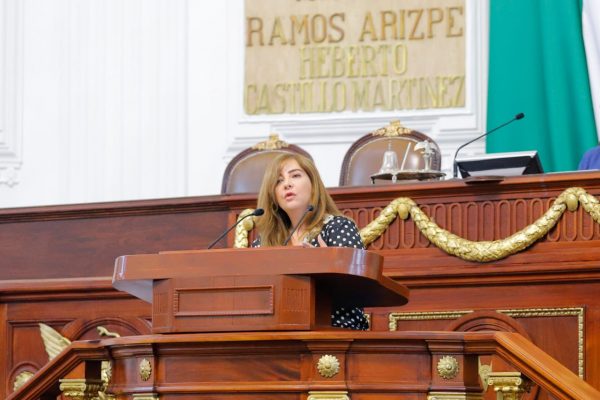 Diputada Gabriela Salido