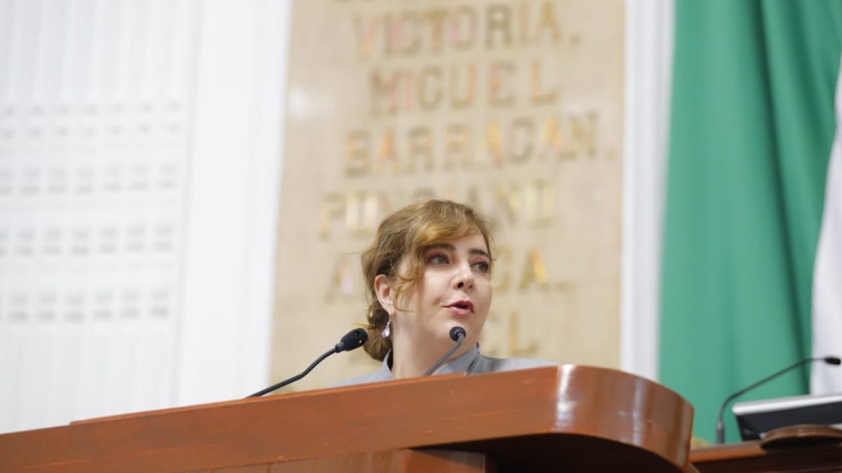 Exhorta Dip. Gabriela Salido al Gobierno de la CDMX a adoptar acciones para garantizar seguridad a Defensores de Derechos Humanos y Periodistas Gabriela Salido
