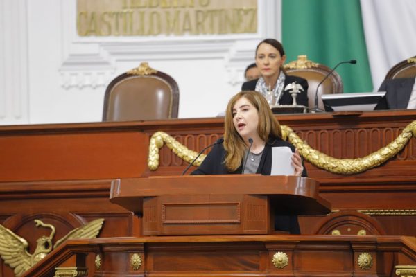 Dip Gabriela Salido