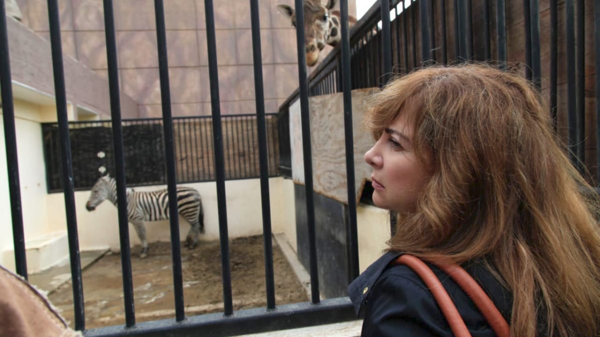 Demandará Dip. Gabriela Salido información sobre el estado que guardan los zoológicos de la CDMX Demandará Dip. Gabriela Salido información sobre el estado que guardan los zoológicos de la CDMX