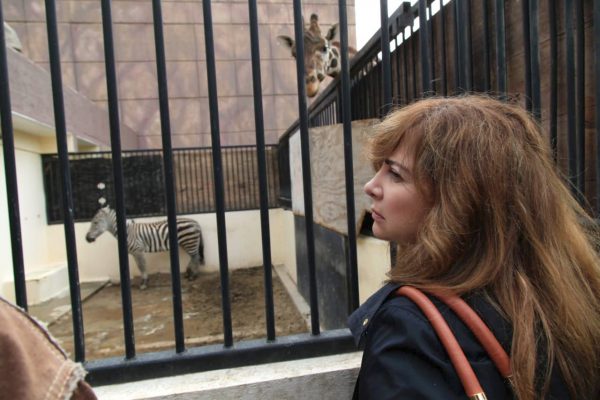 Demandará Dip. Gabriela Salido información sobre el estado que guardan los zoológicos de la CDMX