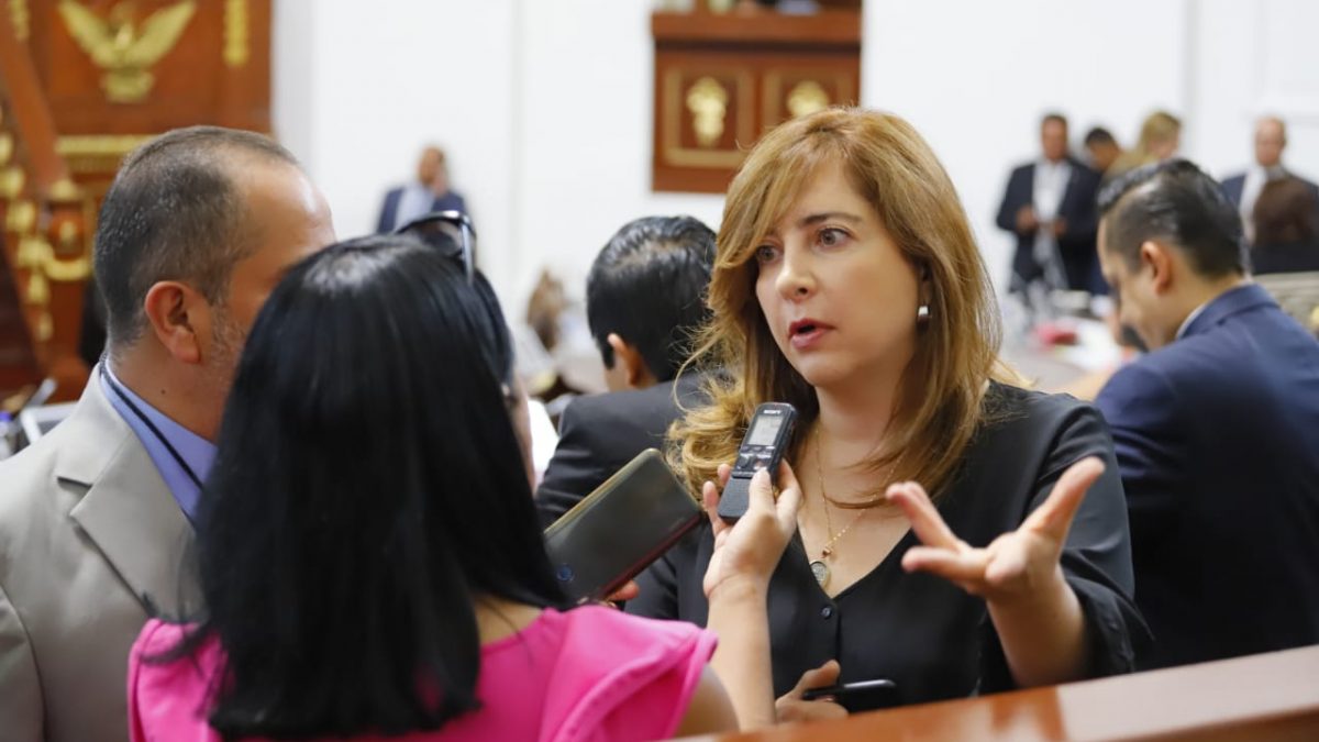 Presenta Dip. Gabriela Salido dictamen para la sustitución de luminarias por ahorradoras de energía Dip. Gabriela Salido