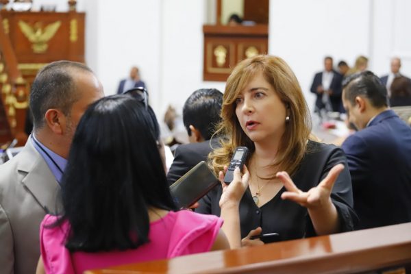 Dip. Gabriela Salido