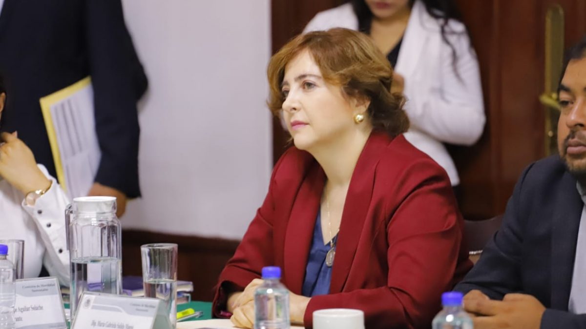 Comparecencia de Lajous deja dudas sobre el destino de la movilidad en la CDMX: Dip. Salido Magos Comparecencia de Lajous deja dudas sobre el destino de la movilidad en la CDMX: Dip. Salido Magos