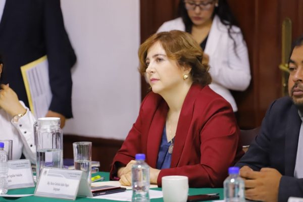 Comparecencia de Lajous deja dudas sobre el destino de la movilidad en la CDMX: Dip. Salido Magos