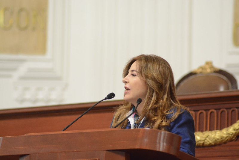 Saturación en la red de cableado, resultado de la improvisación y no de la planeación estratégica; Dip. Gabriela Salido Gabriela Salido