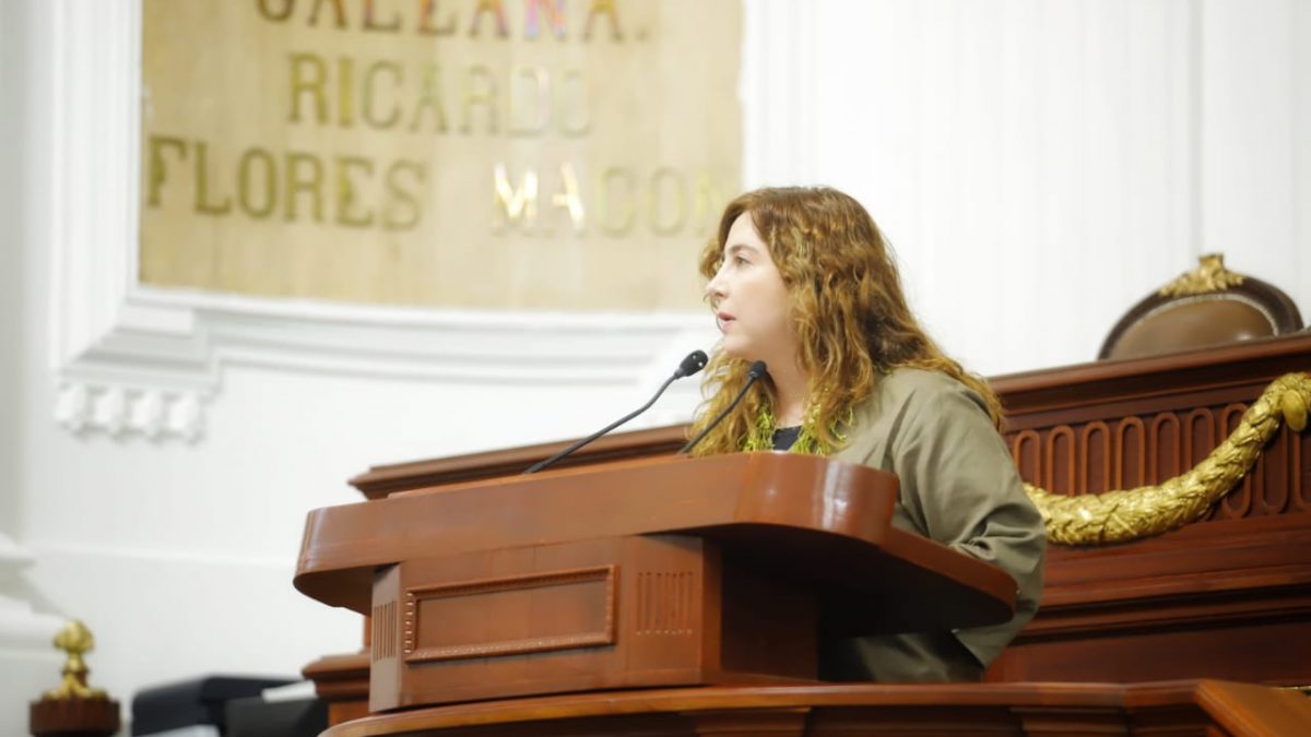 Dip. Gabriela Salido propone asignar mayores recursos a las alcaldías con mejor ejercicio presupuestal Gaby Salido