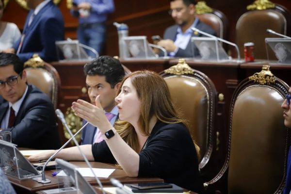 La Dip. Gabriela Salido solicita mesa de trabajo con el titular de la comisión de búsqueda de personas de la CDMX en el congreso local