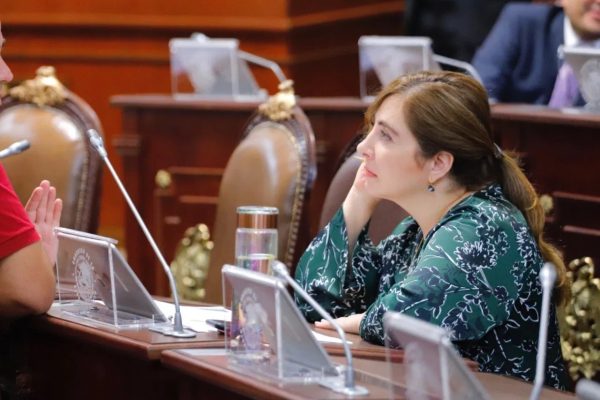 Para MORENA en el Congreso, no es prioridad conocer las cifra de atención de pacientes con enfermedades crónicas durante la pandemia: Gabriela Salido