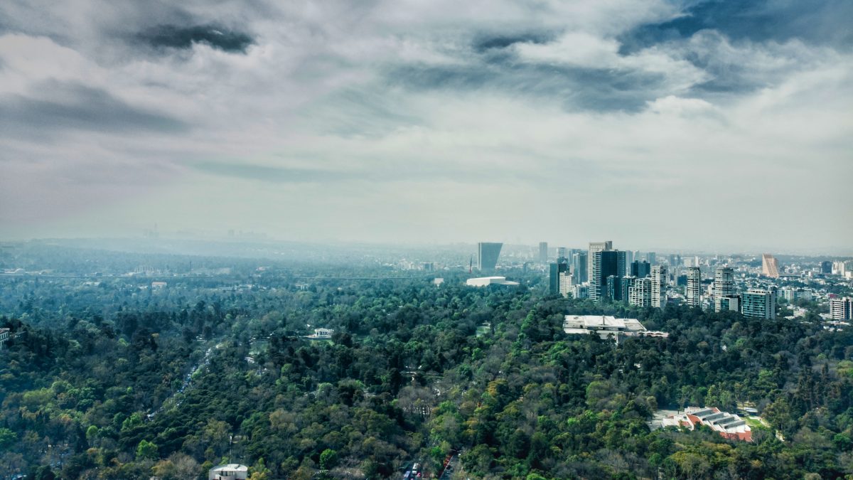 La Diputada Gabriela Salido urge a autoridades capitalinas informar sobre el proyecto de la 4ta Sección del Bosque de Chapultepec La Diputada Gabriela Salido urge a autoridades capitalinas informar sobre el proyecto de la 4ta Sección del Bosque de Chapultepec