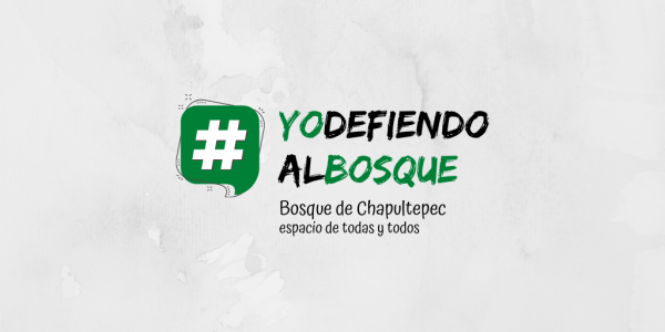 Lanzan campaña #YoDefiendoAlBosque para exigir participación ciudadana y transparencia en proyecto de la 4ª Sección del Bosque de Chapultepec