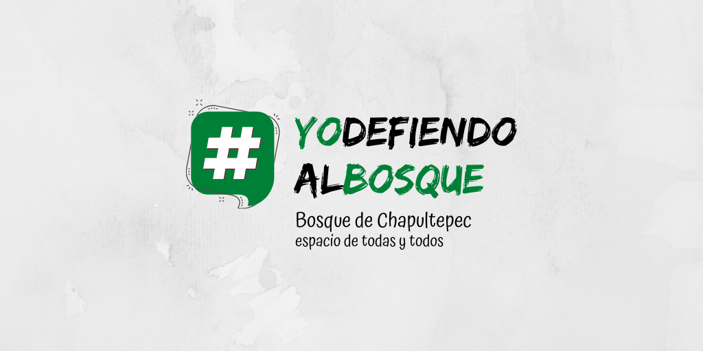 Lanzan campaña #YoDefiendoAlBosque para exigir participación ciudadana y transparencia en proyecto de la 4ª Sección del Bosque de Chapultepec Lanzan campaña #YoDefiendoAlBosque para exigir participación ciudadana y transparencia en proyecto de la 4ª Sección del Bosque de Chapultepec